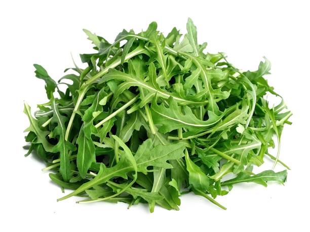 Arugula (Baby)