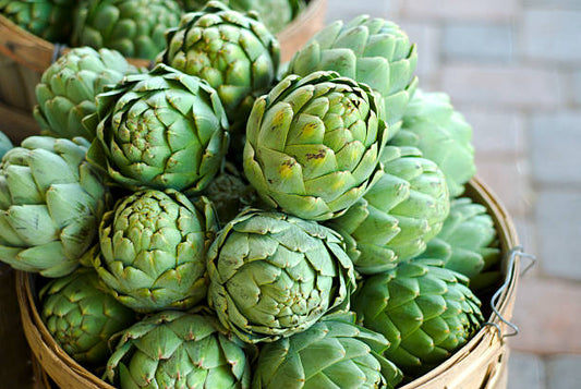 Artichoke (Cynara Scolymus)