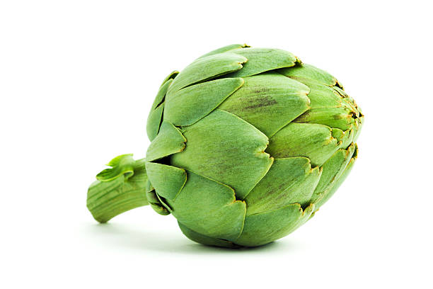 Artichoke (Cynara Scolymus)