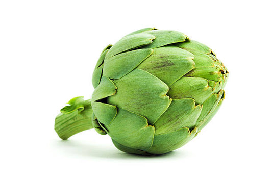 Artichoke (Cynara Scolymus)
