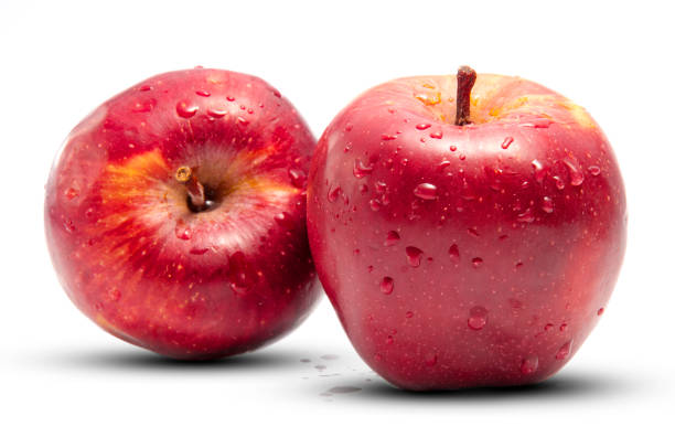 Apples (Malus Domestica)