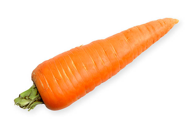 Jumbo Carrot Single